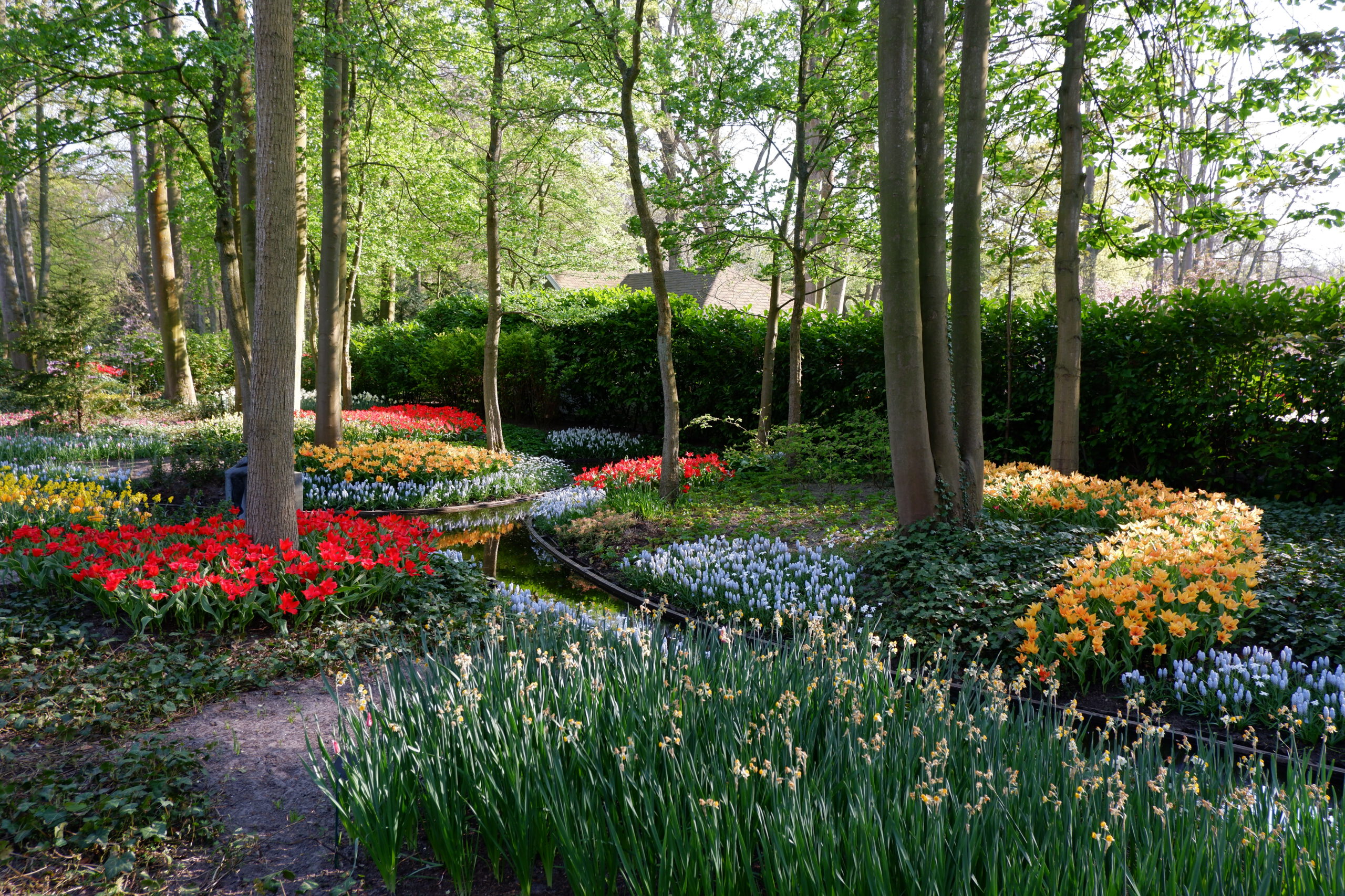 Finally! Keukenhof is ready to receive guests again! 2025 update!