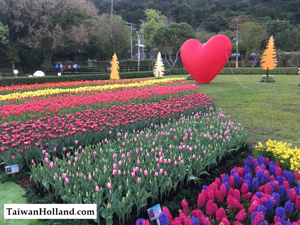 Visit Shilin Residence Tulip Festival 2023