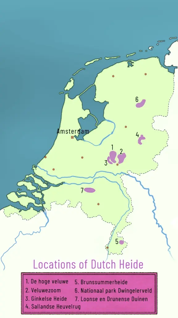 Dutch heather, Overview.
Overzicht lkaart Nederlandse Heide